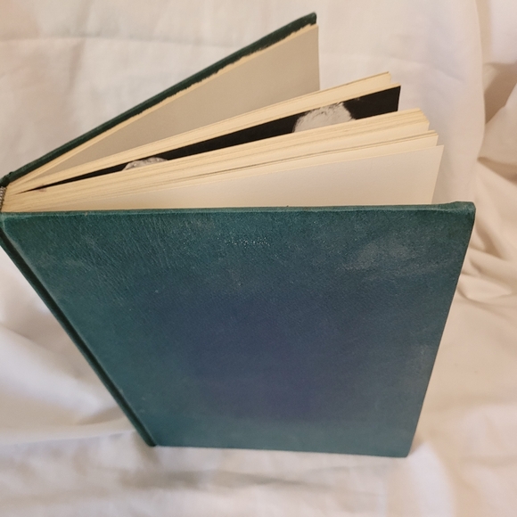 High On The Wild With Hemingway, Lloyd Arnold, 1968 - Picture 10 of 13